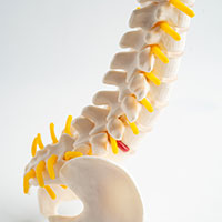 fraturas vertebrais